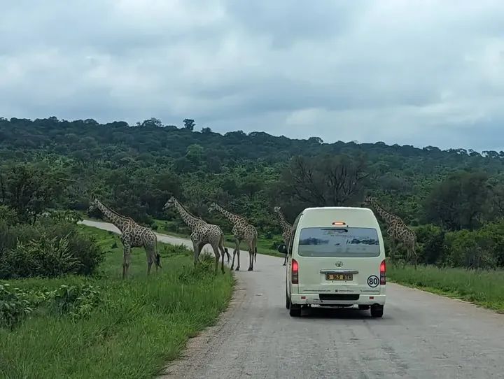 fb img 1768469828402